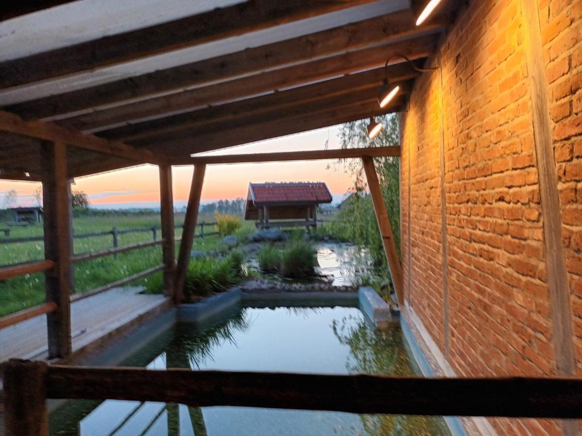 Dom Habass Villa Zdory Dış mekan fotoğraf